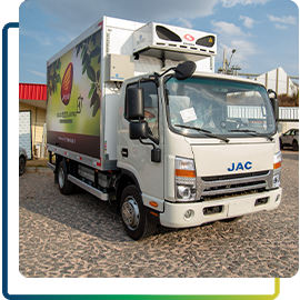 Transporte através de veículos 100% elétricos